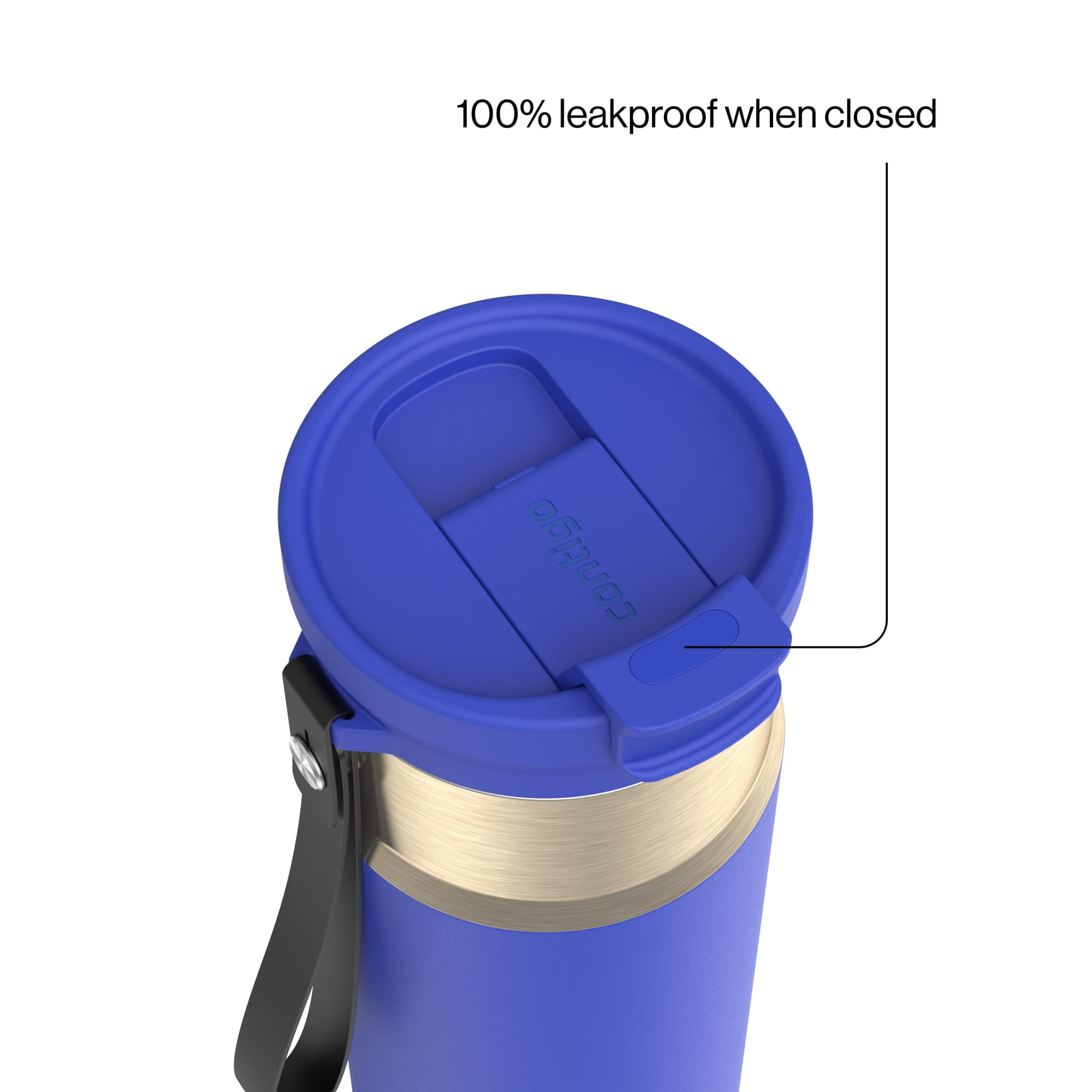 Contigo 24oz DualSip Insulated Stainless Steel Water Bottle with Built-In Straw and Drink Opening, Wild Indigo Blue/Champagne