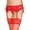 Red, variant on 7722-WHITE Heart Embroidered Mesh with Lace Trim Garterbelt, White