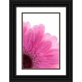 thumbnail image 1 of Murdock, Ramona 23x32 Black Ornate Wood Framed with Double Matting Museum Art Print Titled - Daisy Pink, 1 of 4