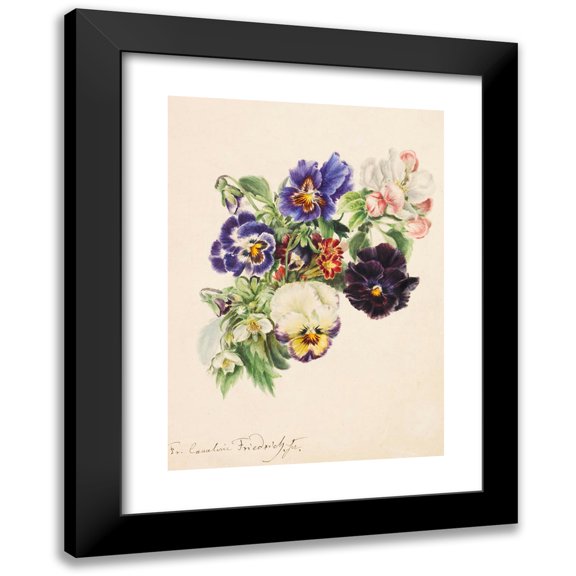 Caroline Therese Friedrich 11x14 Black Modern Framed Museum Art Print Titled - Small Bouquet with Pansies, Apple Blossoms and Primroses (Approx. 1870-1890)