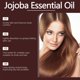 thumbnail image 4 of Fiudx Aceite de Jojoba, Suero Capilar de Hidratación Profunda, Hidratante Facial Nutritivo, Aceite de Masaje Corporal Versátil, Hidratación Del Cuero Cabelludo, Cuidado Facial E Hidratación Total, Ap, 4 of 6