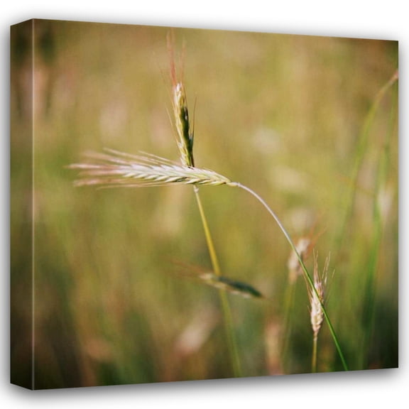 Bob Stefko 15x15 Gallery Wrapped Canvas Wall Art Titled - Simple Organics IV