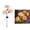 Pink, variant on Solar Hydrangea Pathway Lights Outdoor – Waterproof Garden Decor with Warm Glow, Auto Dusk to Dawn LED Landscape Lighting for Patio Yard Flower Bed, Easy Install Stake Light