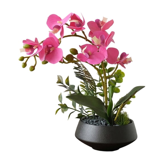 WWG Artificial Phalaenopsis Potted Flower, Silk Faux Orchid Plant, Waterproof Sun Proof Fade Resistant, No Maintenance Needed for Living Room Porch Dining Table Study, Home Office Fall Decor
