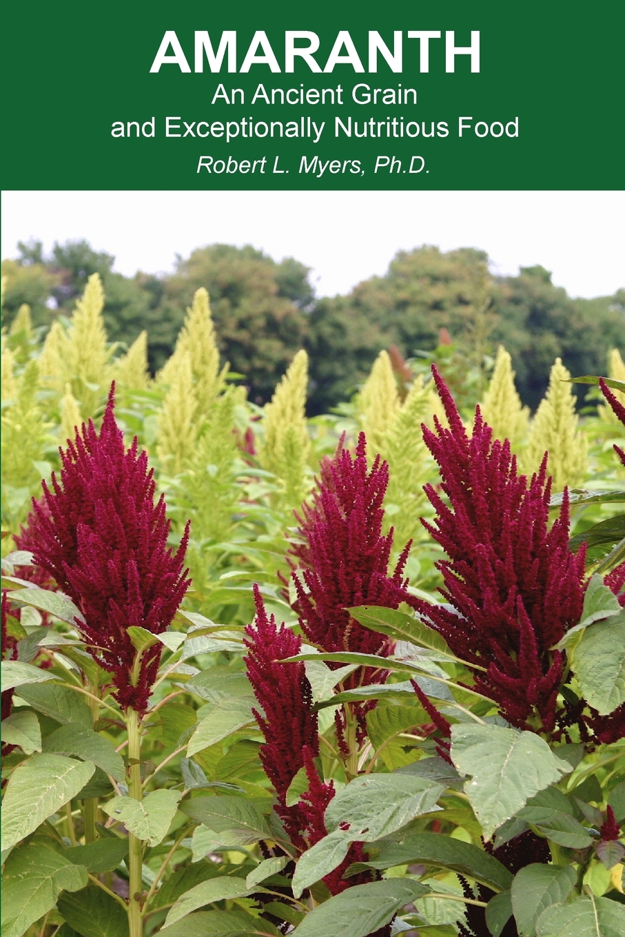 Amaranth An Ancient Grain and Exceptionally Nutritious Food