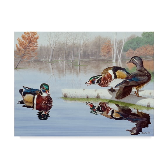 Trademark Fine Art 'Rivals' Canvas Art by Rusty Frentner