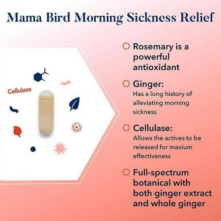 Best Nest Wellness Mama Bird Morning Sickness Relief Supplement, Nausea Relief for Pregnant Women with Full Spectrum Ginger for Dizziness + Motion Sickness, Pregnancy Morning Sickness Relief, 60 Ct