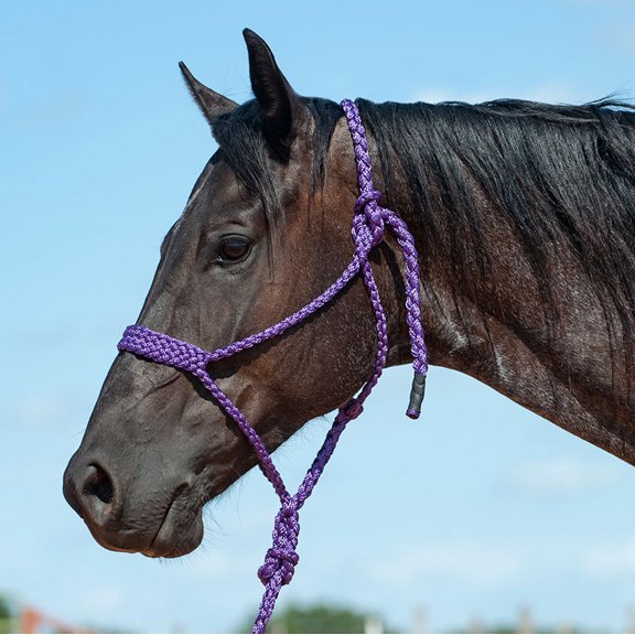 Cashel Company Flat Braided Halter with9` Lead Purple Horse