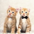 thumbnail image 3 of LAICAIW 2 Colliers pour Chats, avec Nœud Papillon Détachable Réglable et Clochette Argentée, pour Cou de Petits Chiens et Chats 7.8 Pouces-10.2 Pouces, 3 of 7