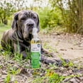 thumbnail image 5 of Pet Life Unlimited Flea & Tick Home Treatment Spray for Homes with Dogs or Cats, 16oz, 5 of 12
