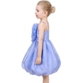 thumbnail image 5 of Girls Dress Rose Flower Ruffle Spaghetti Strap Princess Party 5 Years, 5 of 6
