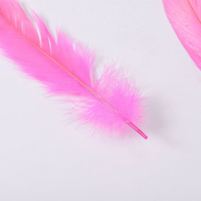 Pink ostrich feathers bulk deals