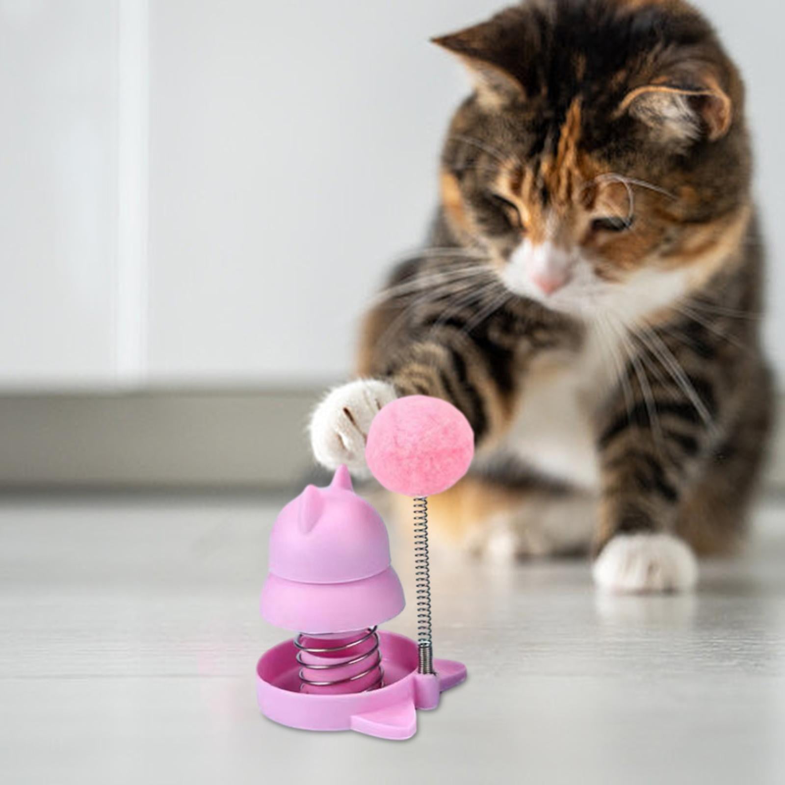 Vaveren 6xCats Licking Ball Playing Chewing Catnip for Indoor Ground Pink