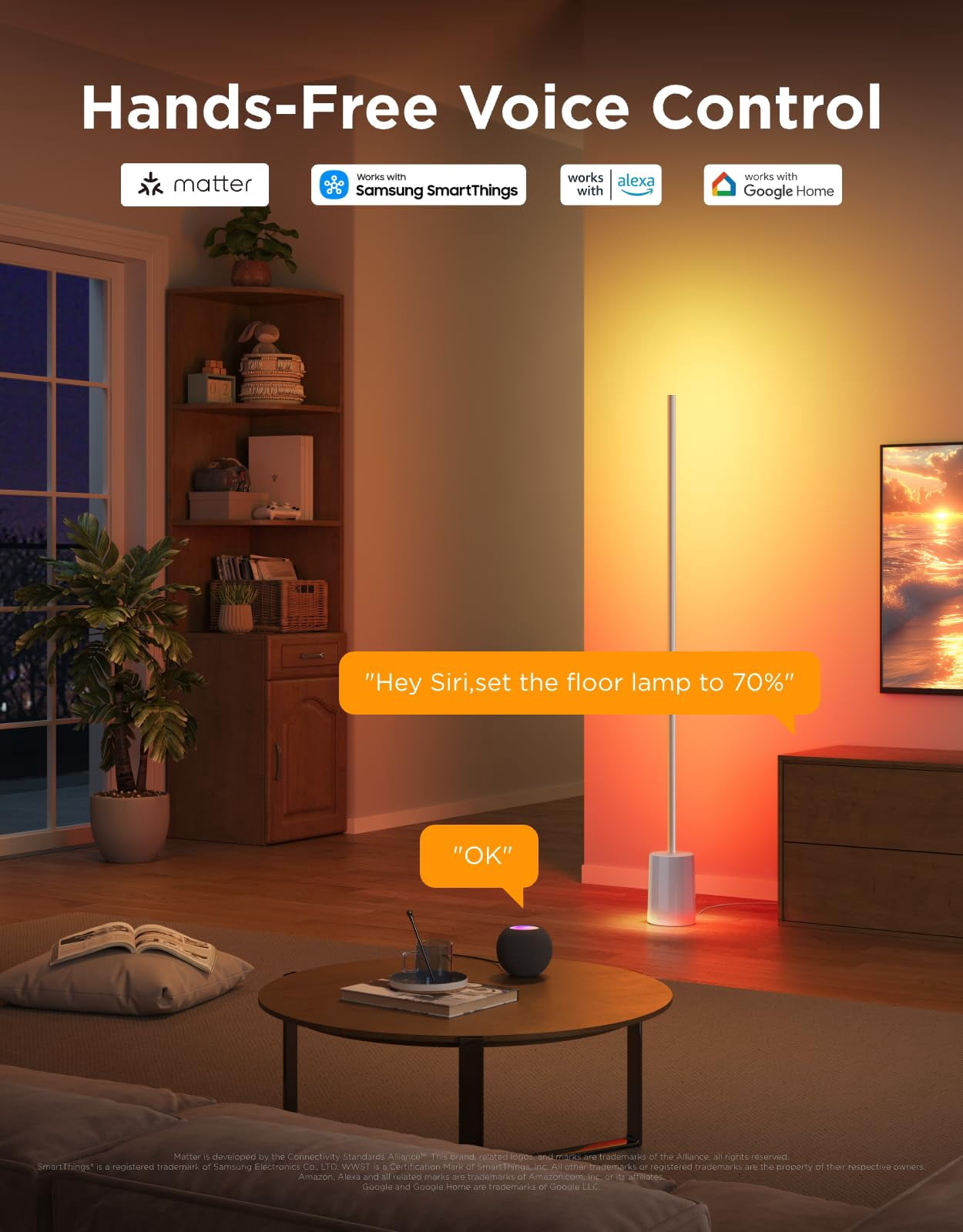 Govee Floor Lamp 2  Rgbic Warm Cool White Led Compatible With Smartthings Matter Alexa 1725lm Music Sync Scene Modes Smart For Living Room Bedroom Silver(1 Pack)
