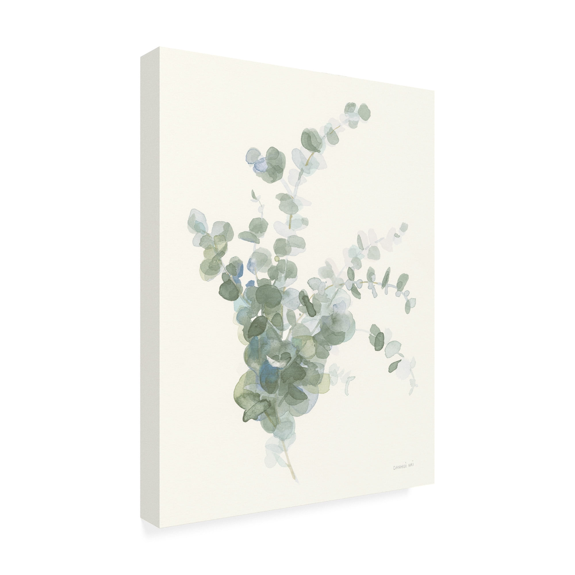Trademark Fine Art 'Scented Sprig II Cool' Canvas Art by Danhui Nai