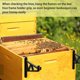 thumbnail image 4 of 6Pcs Beekeeping Frame Holder Beekeeping Frame Bracket Support Bracket Rack Beekeeping Perch Stand Support Beekeeping, 4 of 4