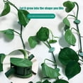 thumbnail image 3 of Organizador fijador de escalada de pared de eneldo de planta verde con Clip sin costuras en forma de hojas Tmvgtek Oficina Multiescena Multifunción, 3 of 5