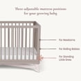 thumbnail image 4 of Little Seeds Pala 4-in-1 Convertible Baby Crib, True White/Whitewash, 4 of 14