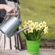 thumbnail image 5 of Colourful Plastic Flower Pot Succulent Flowerpot Home Office Decor, 5 of 6