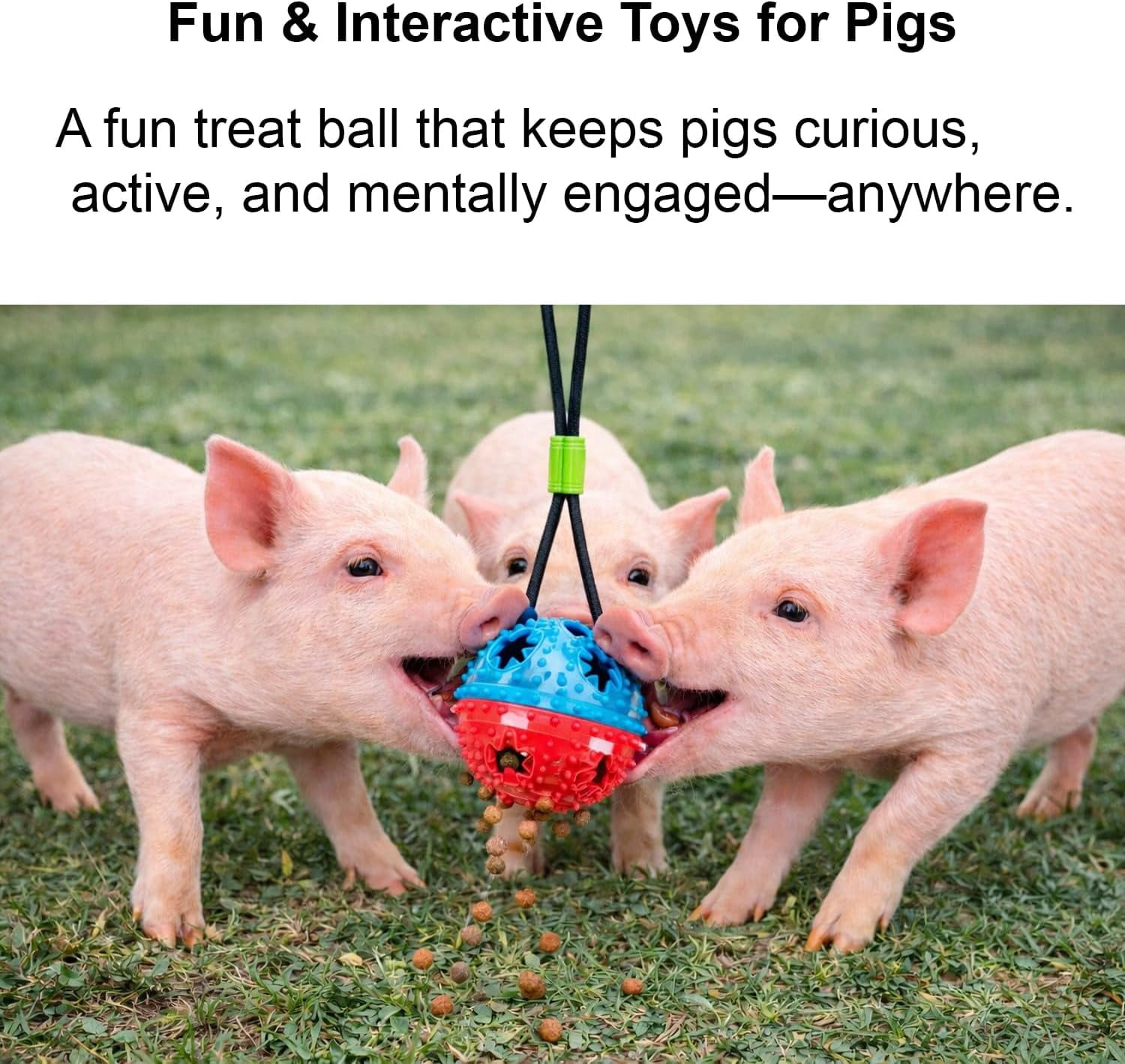 2Pcs Pig Enrichment Toys – Hanging Treat Ball for Pellets & Grains, Chew & Slow Feeder Toy with Rope for Mini Pigs