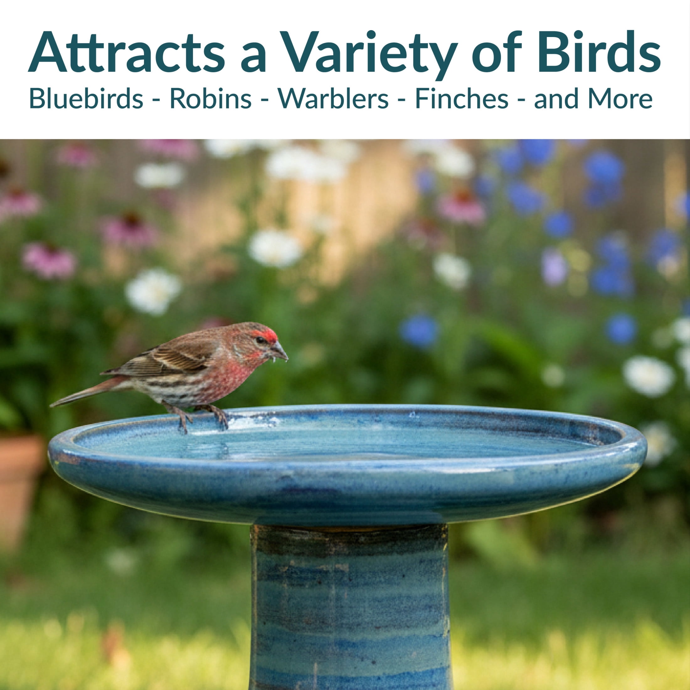 Sunnydaze Freestanding Ceramic Outdoor Bird Bath, Glazed, UV-Resistant Cloud Swirl Finish