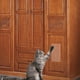 thumbnail image 4 of Protector Contra Rasguños Para Mascotas Almohadilla Contra Rasguños De Pvc Para Gatos Protector Transparente Contra Rasguños Para Gatos Cinta Transparente Contra Rasguños Para Gatos Almohadilla Para Noticed PT000990-00, 4 of 6