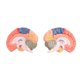 thumbnail image 5 of Human Brain Model Anatomy with Colored and Labeled Regions, 2-Part Human Brain Model Disassembled -, 5 of 5