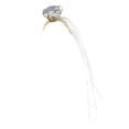 thumbnail image 1 of Smiffys Serre-Tête et Voile de Nuit Ring Hen pour Femmes, 1 of 3