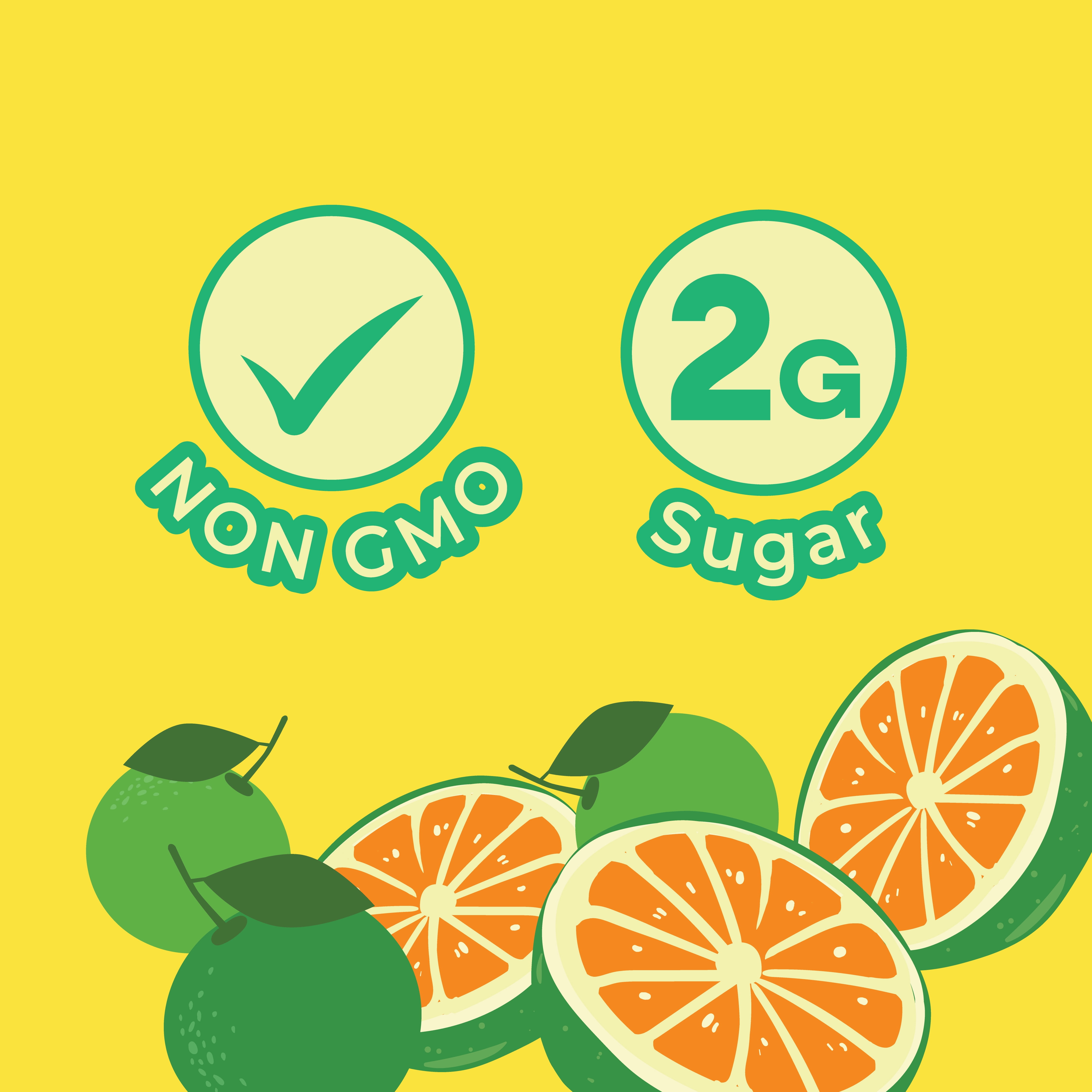 Jans Sparkling Prebiotic Soda Beverage, 8.4 oz Cans – Low Calorie, No Added Sugar – Non-GMO Sparkling Fruit Beverage – Gut Health Support – Naturally Refreshing (24-Pack, Calamansi)