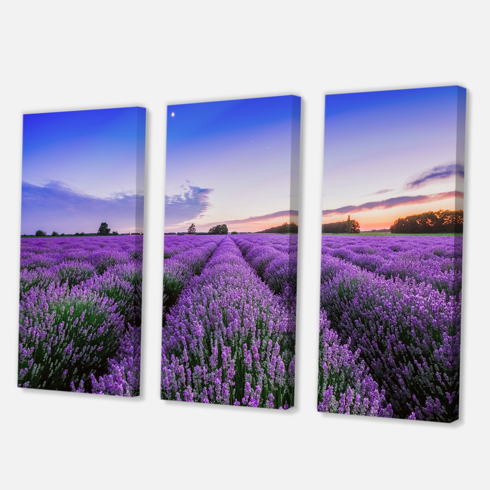Designart ' Dramatic Clouds and Sunrise Over Lavender Field II ' Farmhouse Canvas Wall Art Print