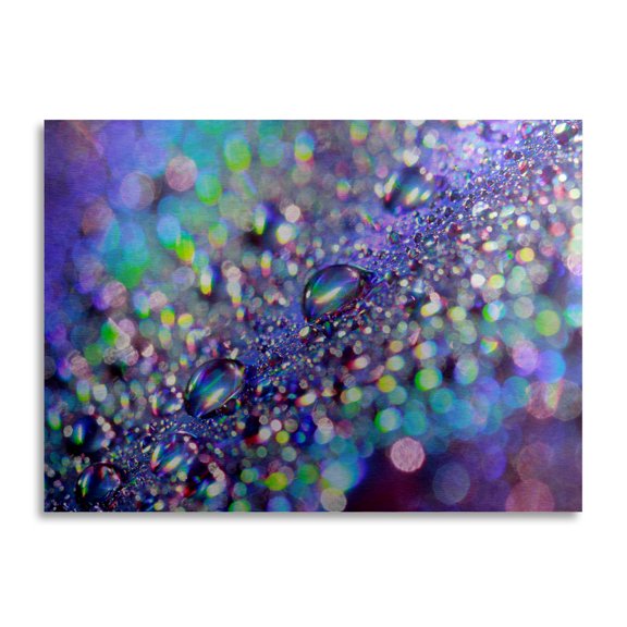 Trademark Fine Art 'Colours of Rainbow' Brushed Aluminum Wall Art Art by Beata Czyzowska Young