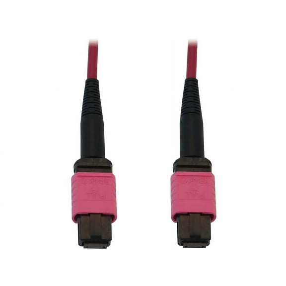 Eaton Tripp Lite Series 100G Multimode 50/125 OM4 Fiber Optic Cable, 10m