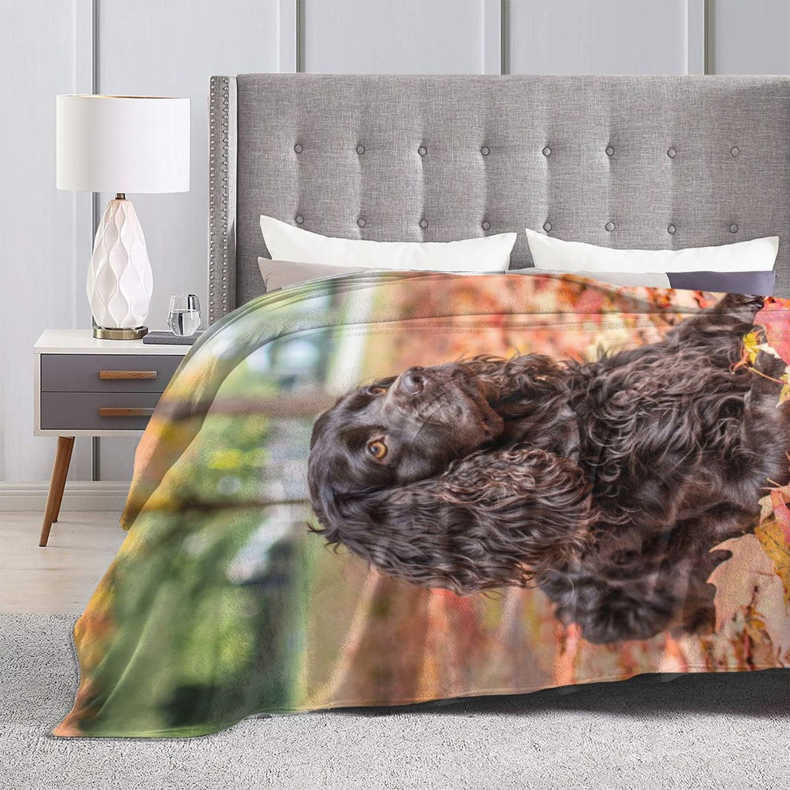 Wijzvio Boykin Spaniel Dog Throw Blanket Soft Fuzzy Fleece Blanket For Couch Bed Living Room Decoration 50"X40"