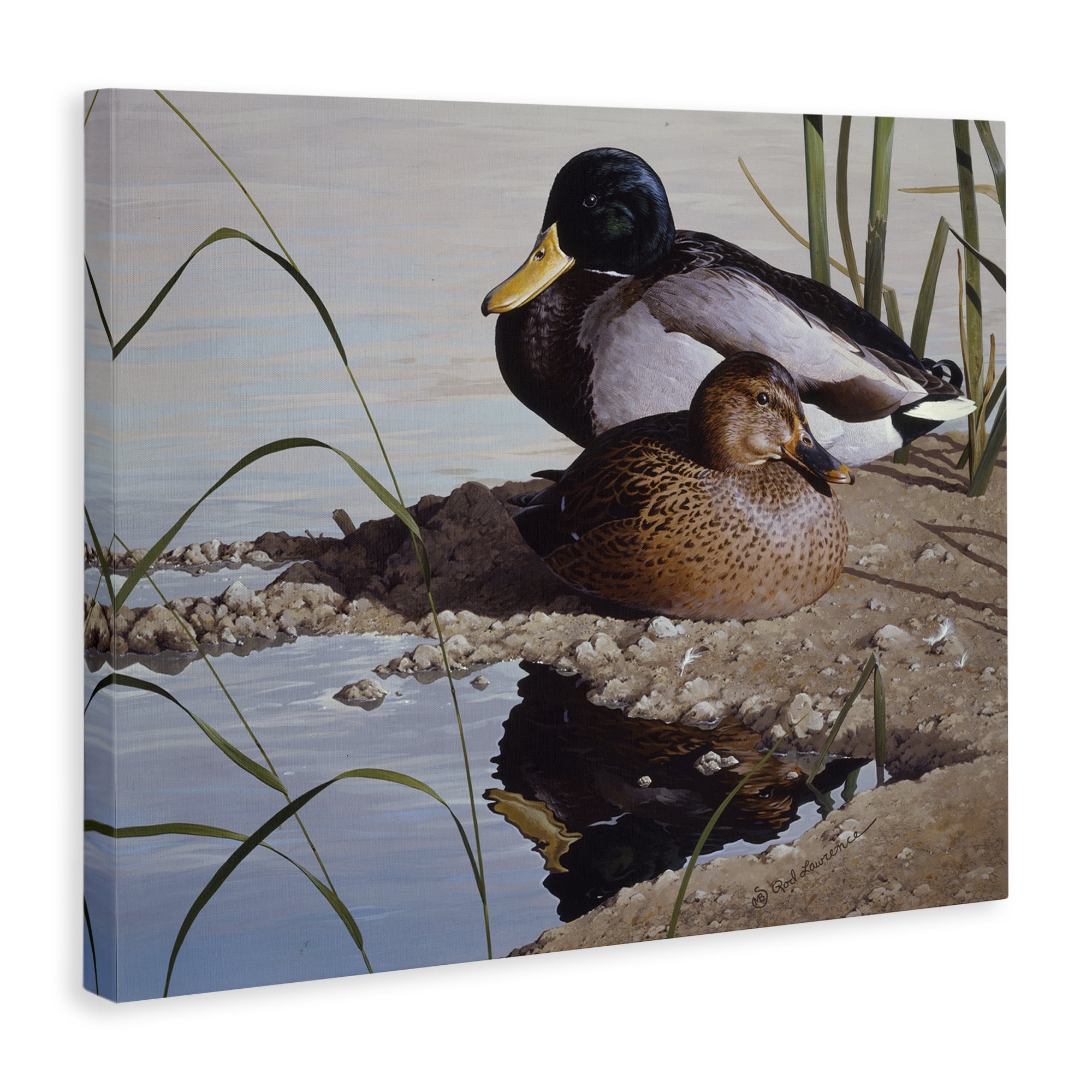 Stupell Industries Two Ducks Water's Edge Animals Painting Wrapped Canvas Art Print Wall Art, 20 x 16