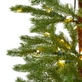 thumbnail image 5 of Nearly Natural Green 6.5' Fir Artificial Christmas Tree with 250 Clear Prelit 250 LED Lights, 5 of 9