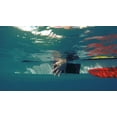 thumbnail image 4 of Flex Tape , Ruban Imperméable Original Épais et Flexible en Caoutchouc - Scelle et Répare les Fuites, Fonctionne sous l'Eau, Intérieur Extérieur - Réparation de Plomberie de Toit de Maison VR et de Piscine, Noir, 4 Po x 5 Pieds, Lot de 2, 4 of 4