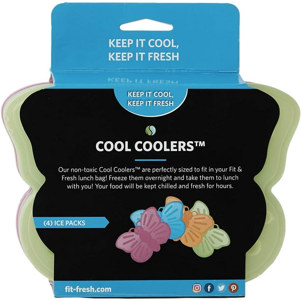 Ice packs best sale for coolers walmart