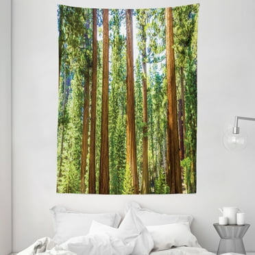National Parks Tapestry, Up View of Tree Branches in Scenic Springtime Conifers Sequoia Art Prints, Wall Hanging for Bedroom Living Room Dorm Decor, 60W X 80L Inches, Green Brown, by Ambesonne