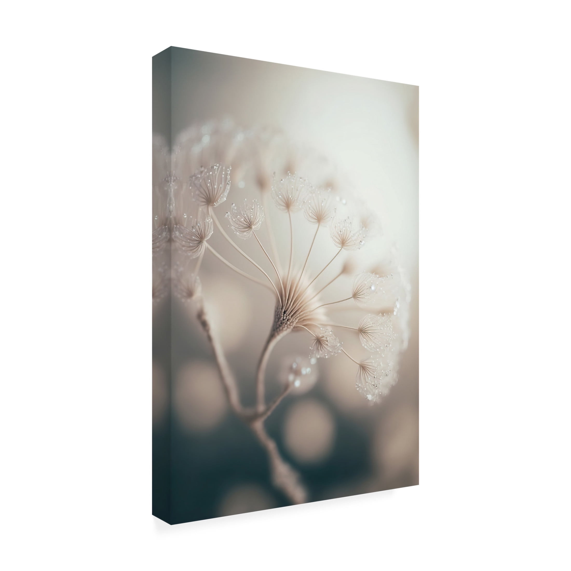 Canvas Wall Art - Treechild 'Tiny Macro World' Wall Art for Living Room, Bedroom, or Office D?cor by Trademark Fine Art - 22 x 32 Inches
