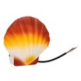 thumbnail image 1 of YOUTHINK Wall Sconce Modern Shell Shape Waterproof LED Warm Light 5W Aluminum, 1 of 8