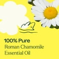 thumbnail image 5 of Plant Therapy Roman Chamomile Essential Oil 100% Pure, Undiluted, Natural Aromatherapy 30 mL (1 oz), 5 of 9