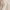 Orange, variant on AherBiu Womens Button Down Shirts Cotton Linen Cap Sleeve Lapel V Neck Summer Casual Loose Tops Blouse