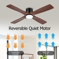 thumbnail image 6 of LEDET 54 in. 4 Solid Wood Blades Indoor Ceiling Fan with Light Kit and Remote, 6 of 9