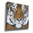 thumbnail image 2 of Epic Graffiti 'Tiger Gaze' by Britt Hallowell, Canvas Wall Art, 18"x18", 2 of 3