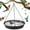 grey, variant on GMZW Hanging Bird Bath,Hanging Bird-Feeder -GMZW BirdBath Tray, Wildlife Feeder Plate Water Bowl or Water Bowl for Outdoors, Garden Patio Decoration
