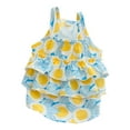 thumbnail image 5 of Layered Summer Dog Dress - Thin Sunscreen - Ruffled - Cute Floral Sling Dress for Chihuahua Bichon Poodle, 5 of 8