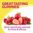 thumbnail image 6 of Culturelle Kids Probiotic + Veggie Fiber Gummies, Berry Blast, 60 Count, 6 of 8