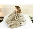thumbnail image 4 of Pure Warmth Velour Sherpa Electric Heated Warming Blanket Twin Linen, 4 of 4