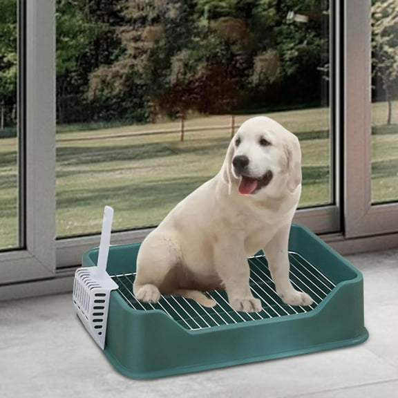 EHJRE Litter Tray for Small Dogs Indoor Dog Potty Tray Anti Splashing Potty Trainer Green