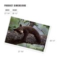 thumbnail image 3 of Lantern Press 1000 Piece Jigsaw Puzzle, Hendersonville, North Carolina, Bear Cub Sleeping, 3 of 5